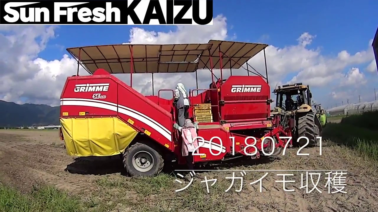 20180721サンフレッシュ海津ジャガイモ収穫