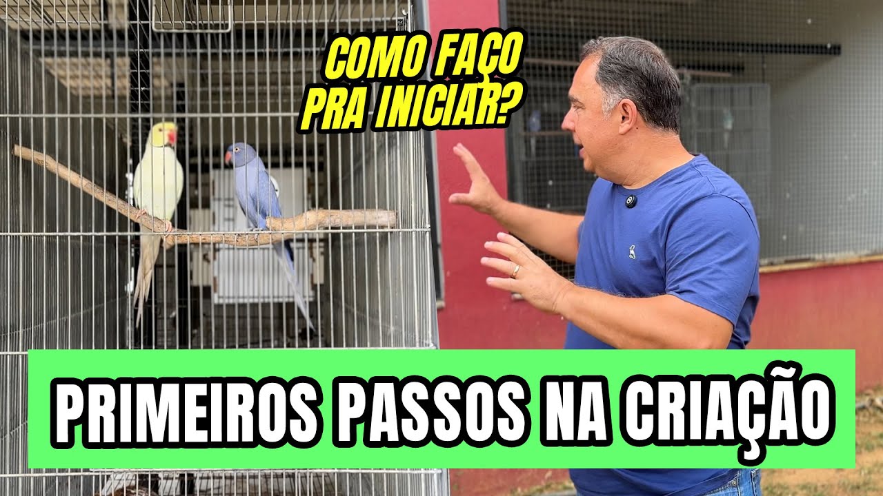 DETALHES AO COMEÇAR UMA CRIAÇÃO DE AVES EXÓTICAS
