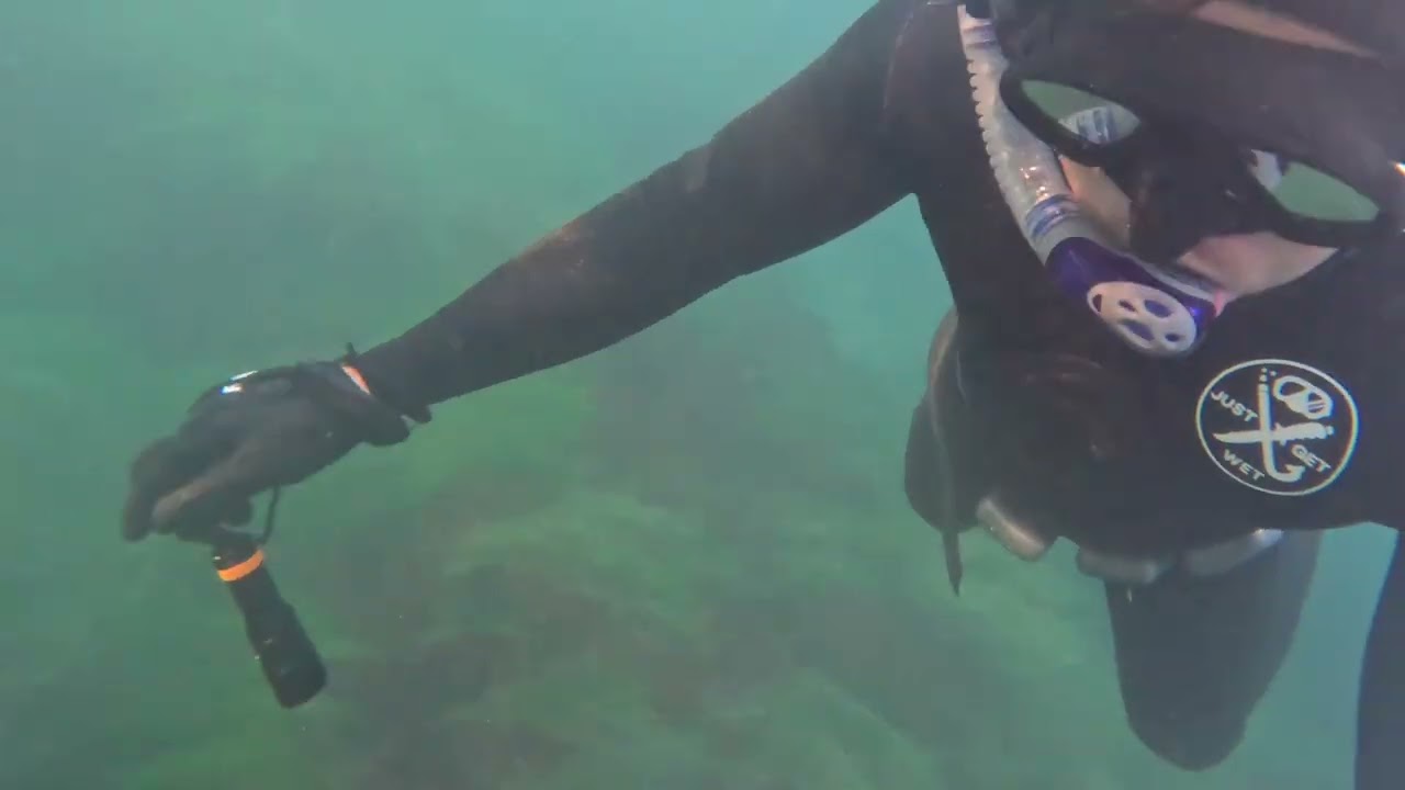 San Diego Lobster Dive (February 2026)