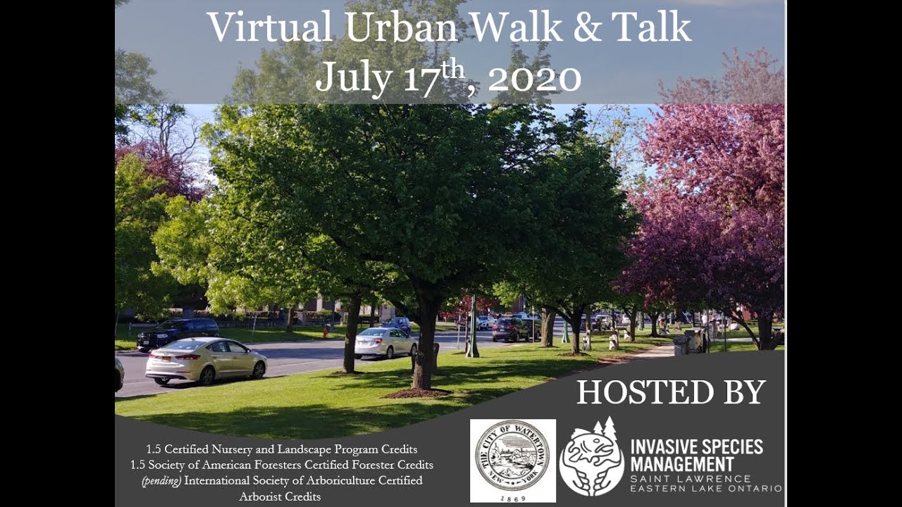 Virtual Urban Walk and Talk
