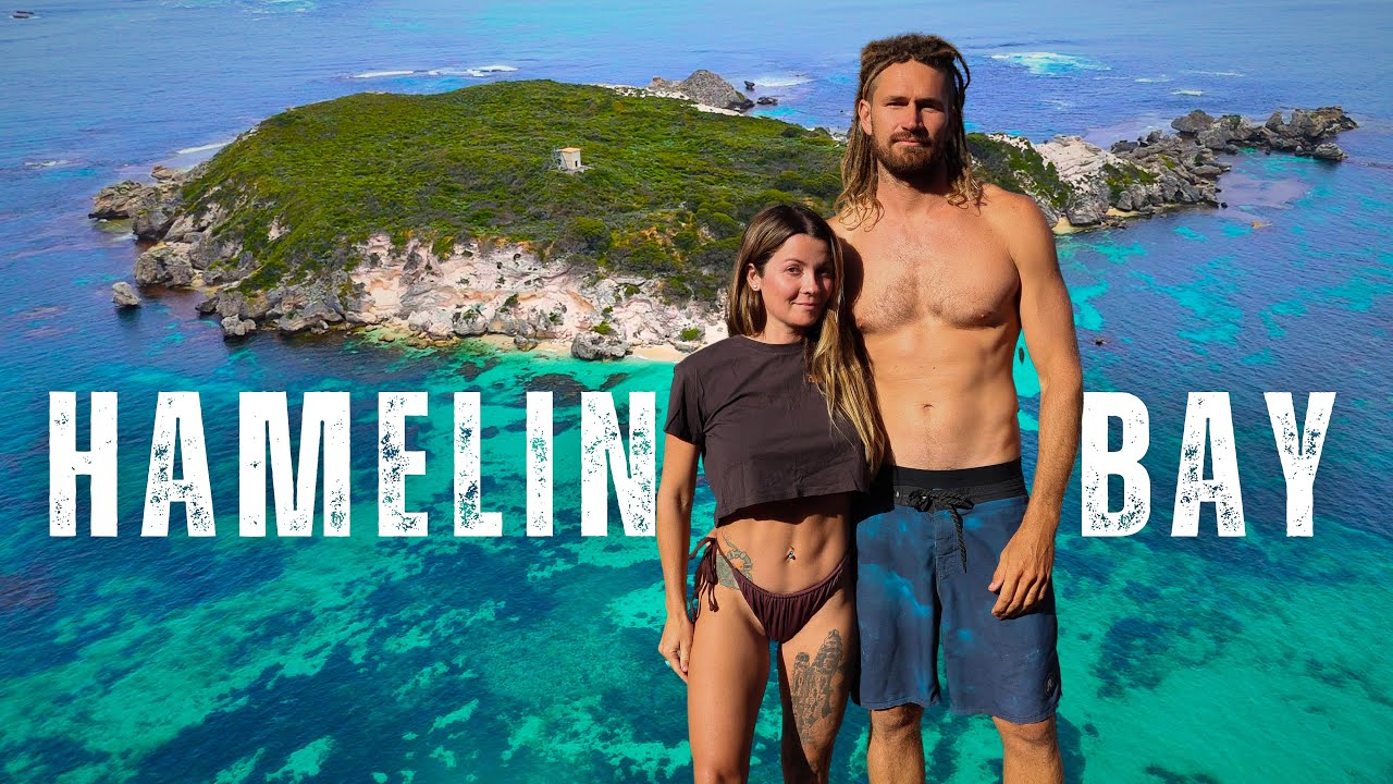 SWIMMING WITH STINGRAYS & SHARKS at HAMELIN BAY!