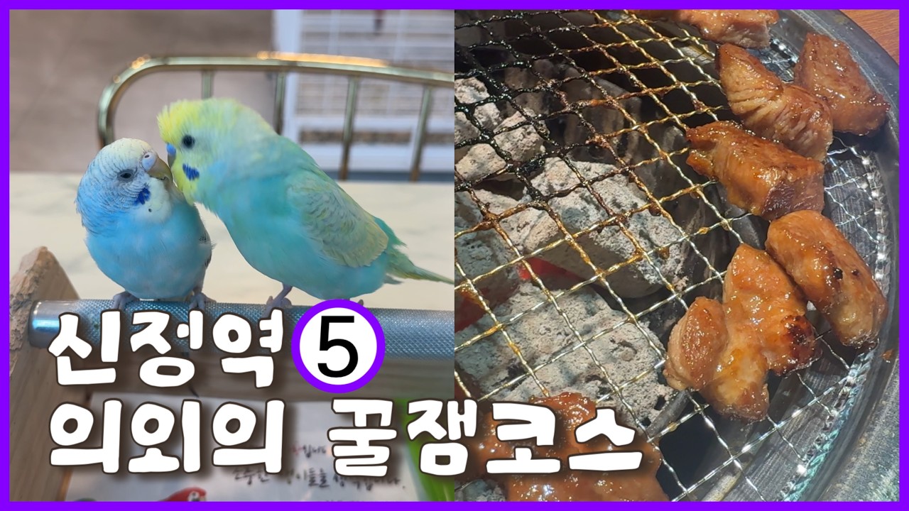 [지하철 시리즈 #1] 5호선 신정역에 이런 곳이? 앵무새🦜와 교감하고 무한리필 고기까지 뿌수기🔨