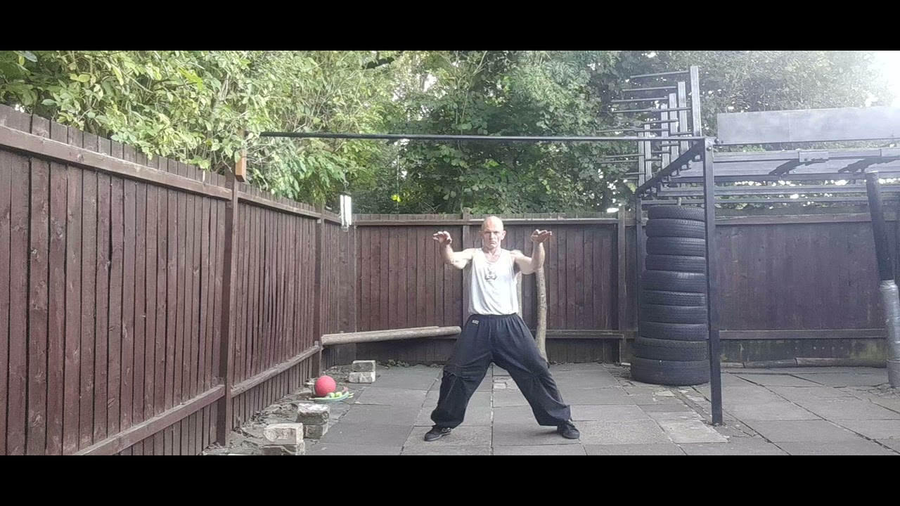 Qigong practice keep the intention on the fingers & palms tailbone underneath crown pulled up.
