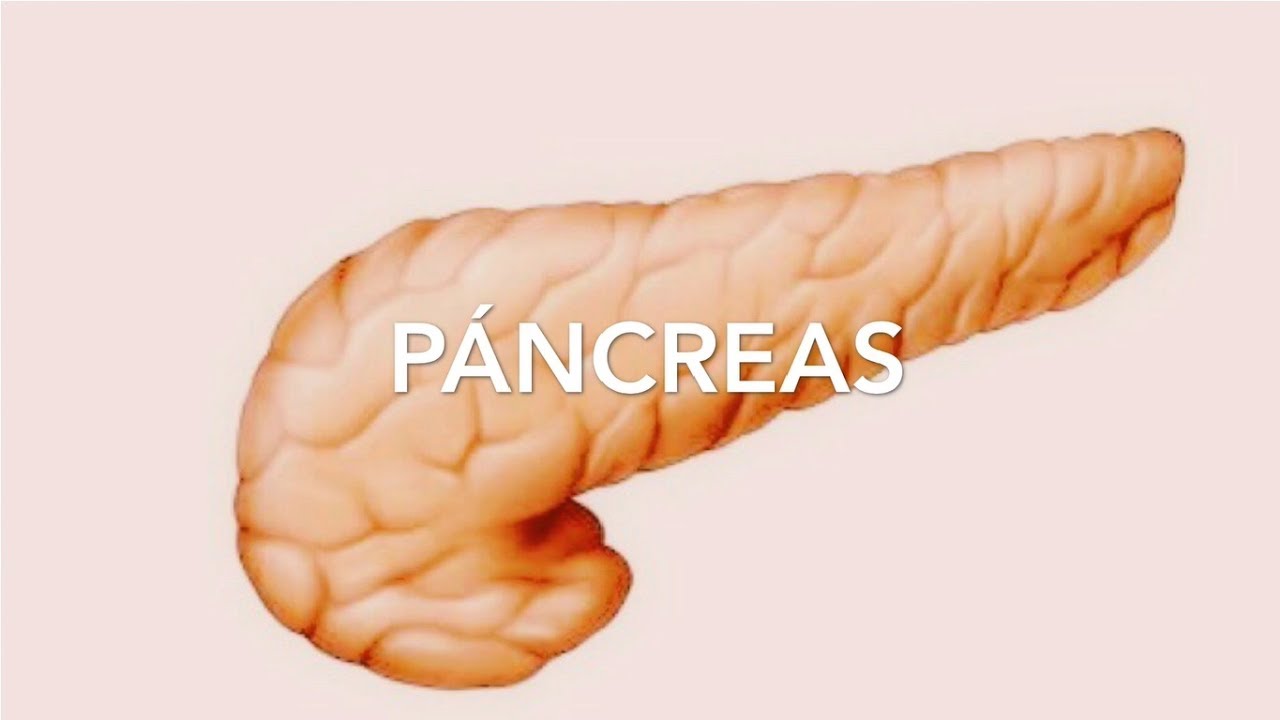 Páncreas