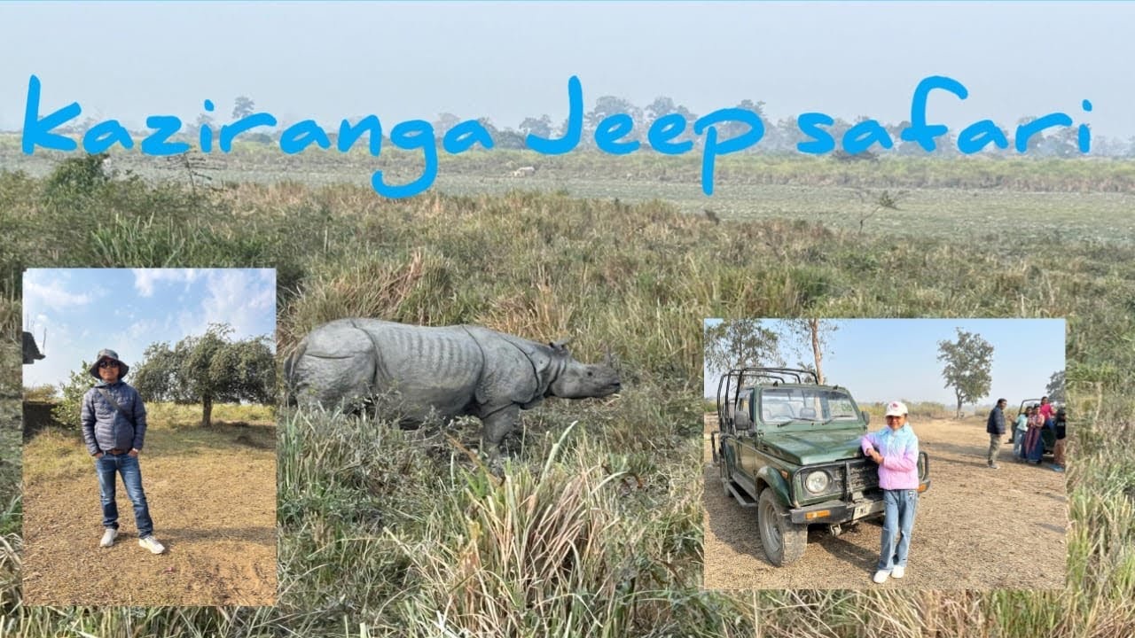 Kaziranga jeep safari 