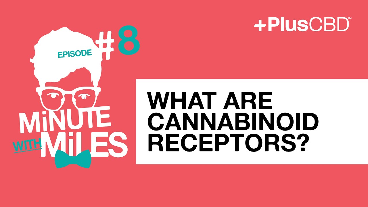 What are Cannabinoid receptors? | Minute with Miles