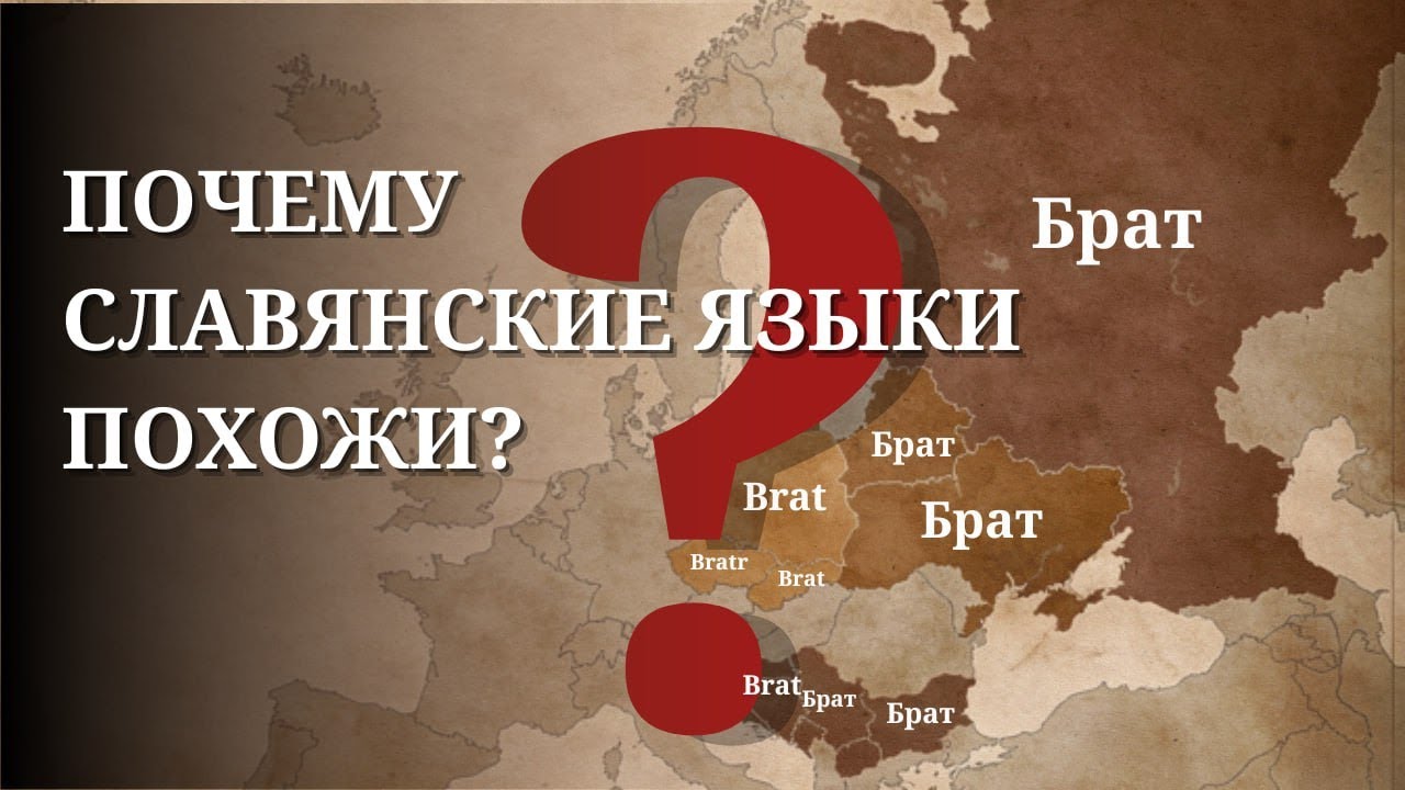 Сходство славянских языков: случайность или что-то больше?🤔
