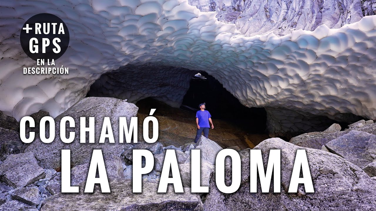 Cochamó Glaciar La Paloma: Trekking 8 Kms (Ep. 3/5) 🇨🇱