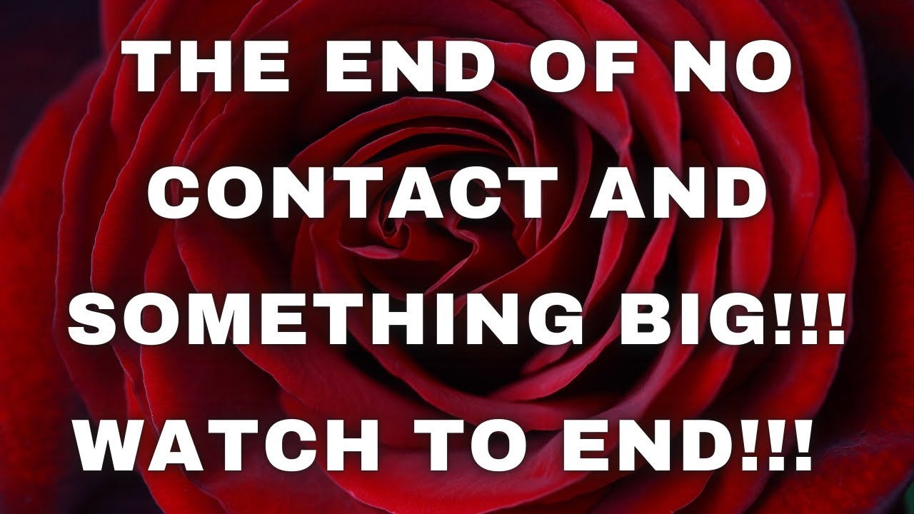 LOVE TAROT READING TODAY- THE END OF NO CONTACT AND SOMETHING BIG!!!