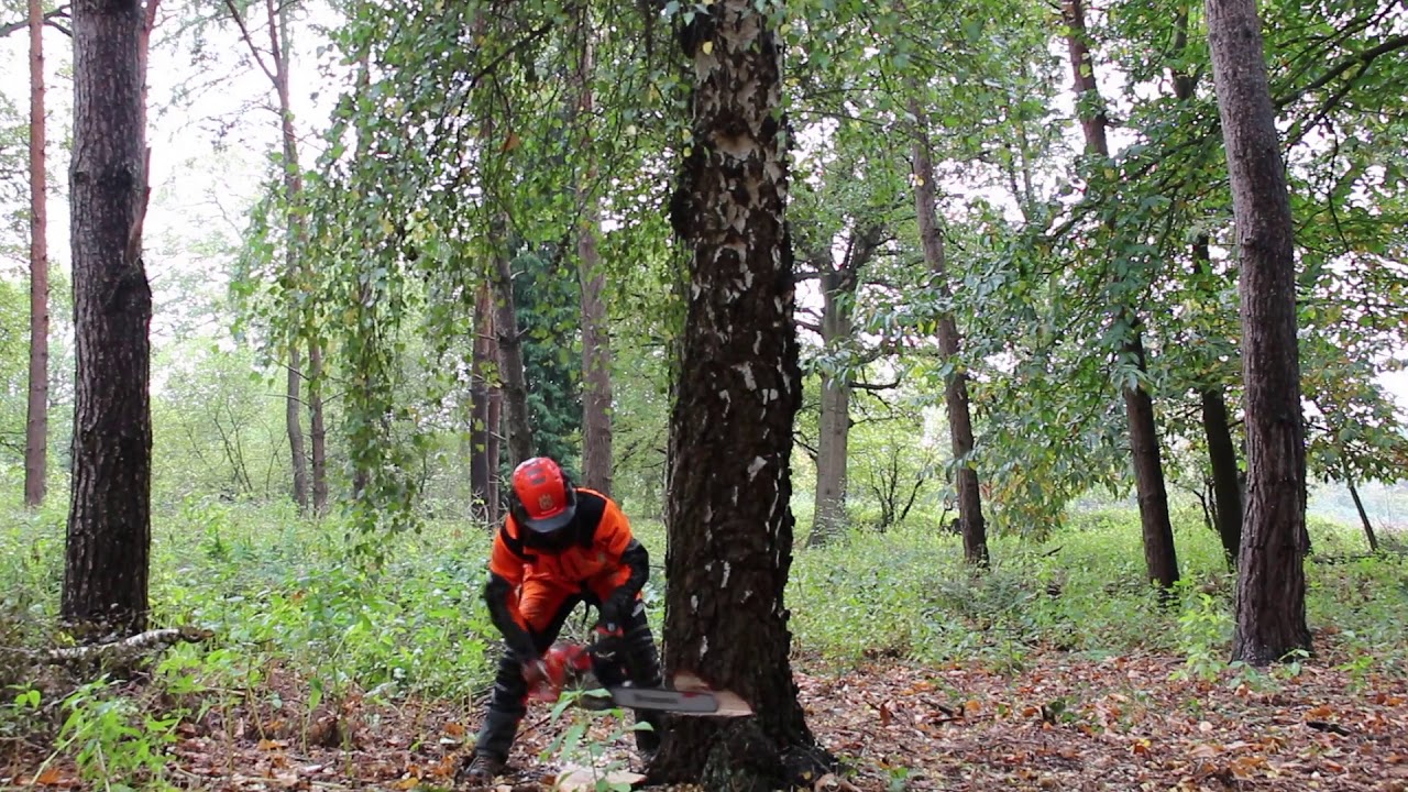 Our new Lantra Verifier for Chainsaws - Andy Campbell