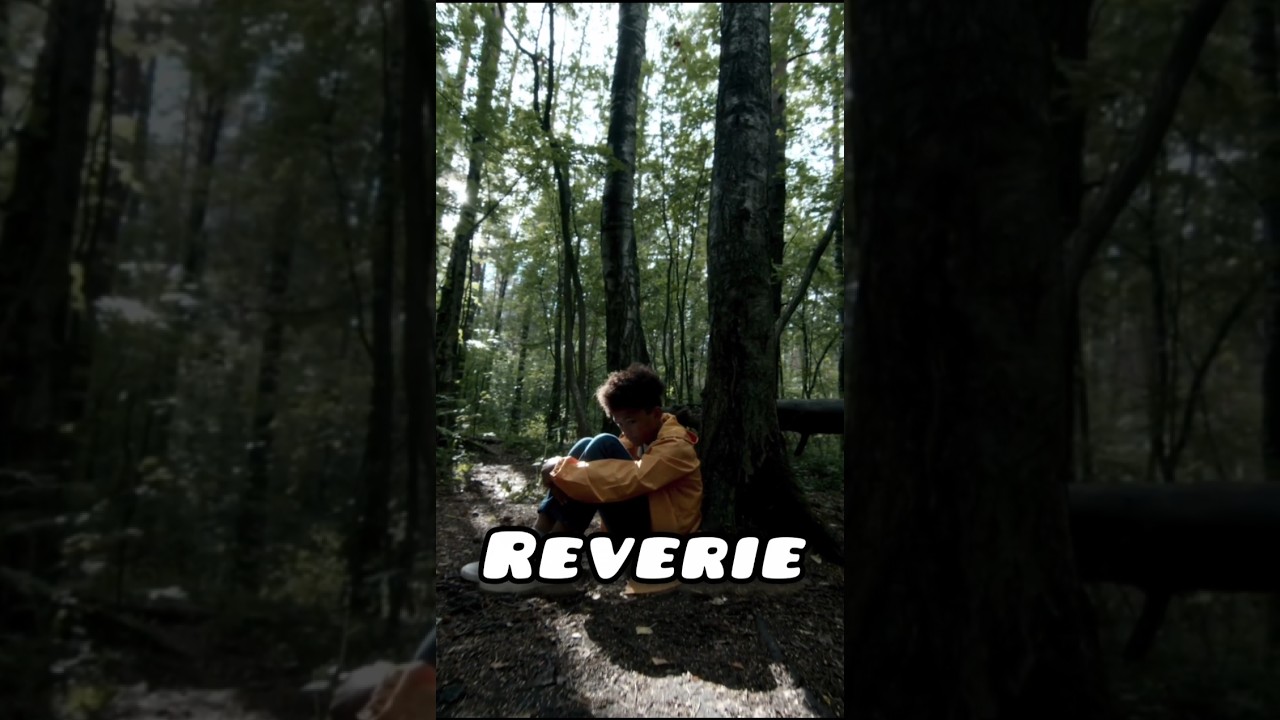 Reverie  -  state of being lost.... 