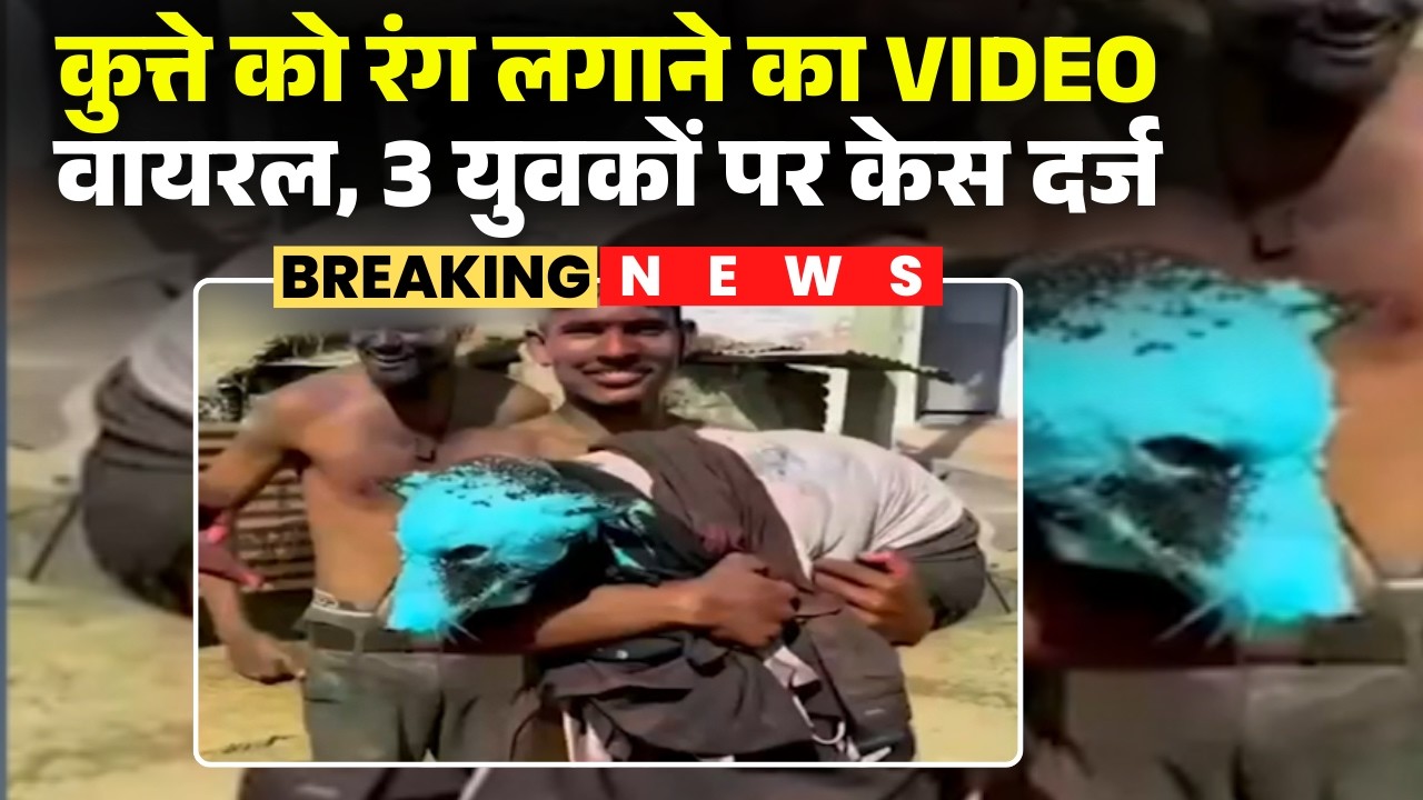 Lormi News : कुत्ते को रंग लगाने का VIDEO वायरल | 3 युवकों पर Police ने दर्ज किया केस | CG News