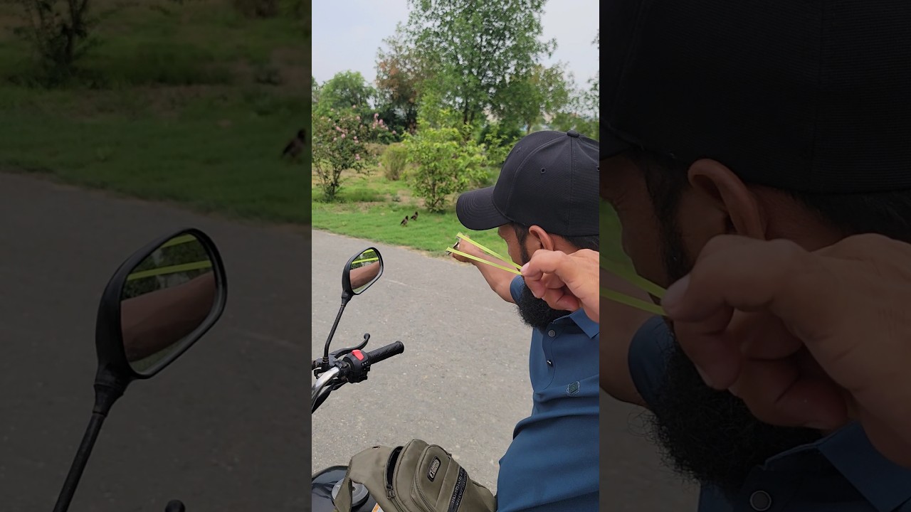 Birds hunting amazing shot #hunting #birds #slingshot #shorts #tricks #tips