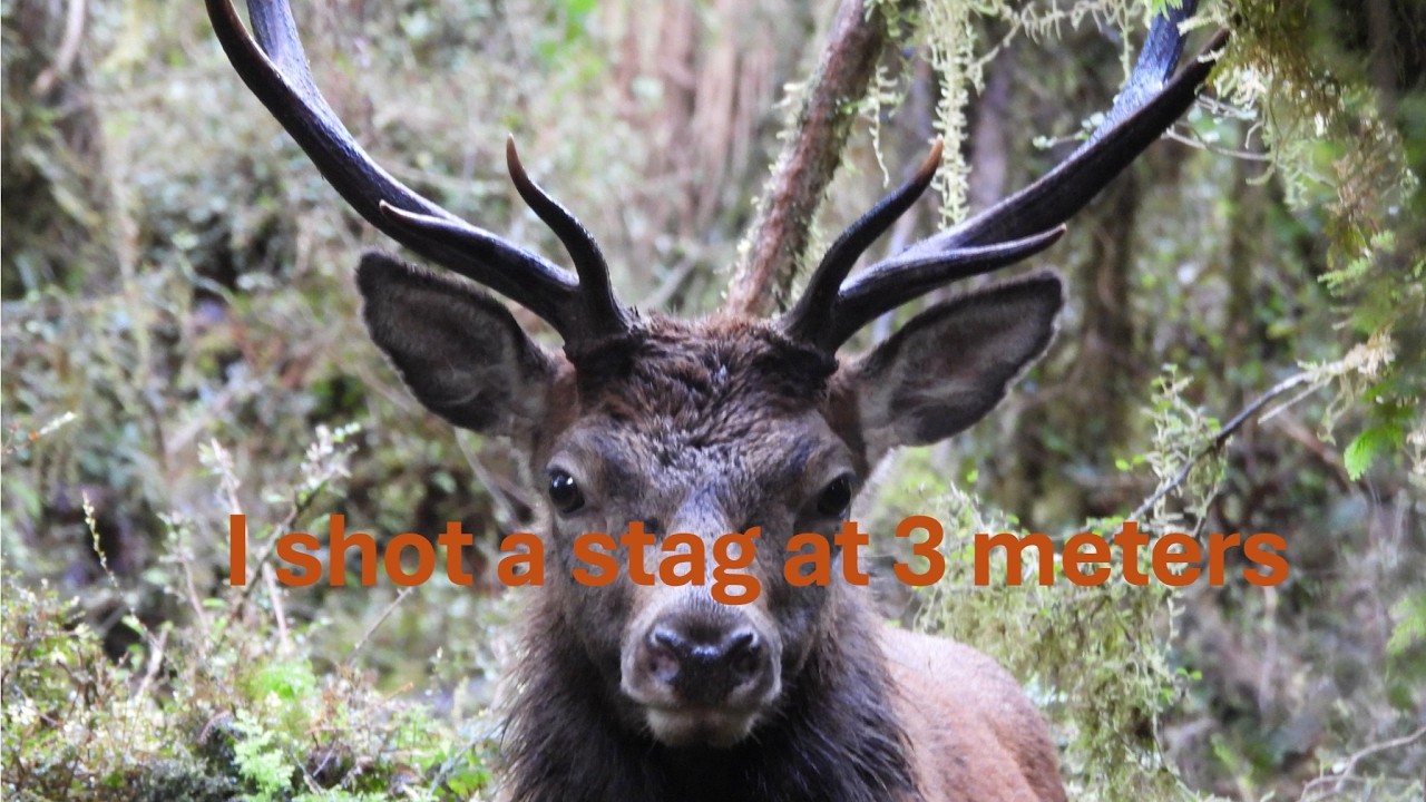 2025 Hollyford roar trip part 1