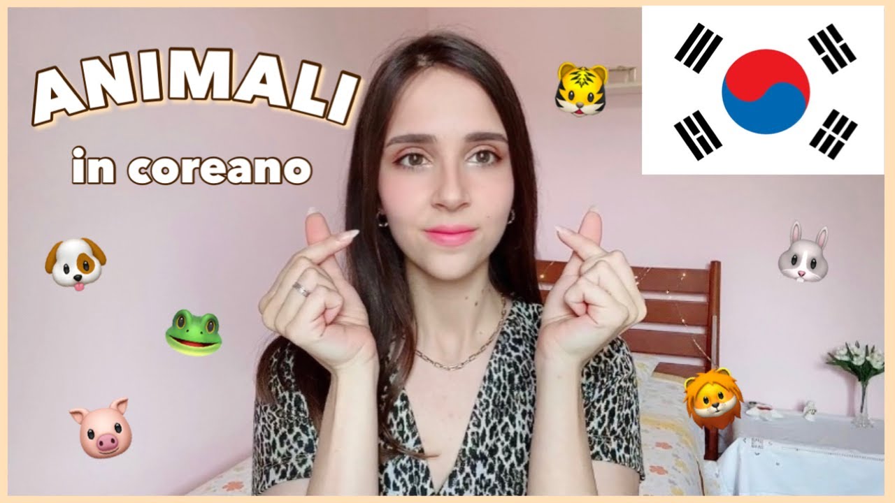 I nomi degli ANIMALI in coreano 🇰🇷 🐶 🐱 🐰 parole ed espressioni