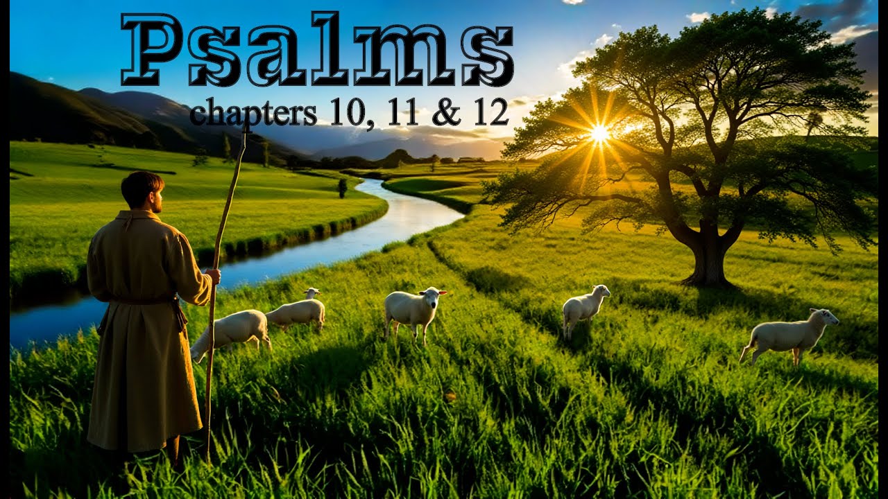 Psalms chapters 10, 11 & 12 Bible Study