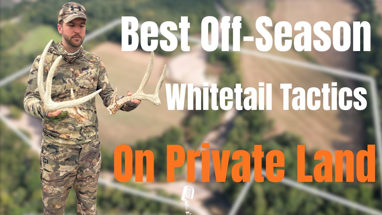 Best Strategy Once your Whitetail Season has Ended 