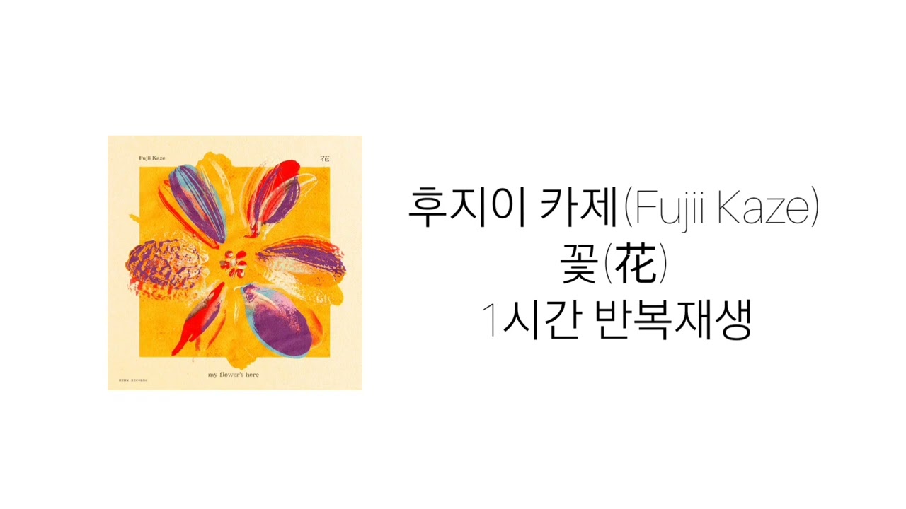 후지이 카제 - 꽃(花) 1시간 반복재생