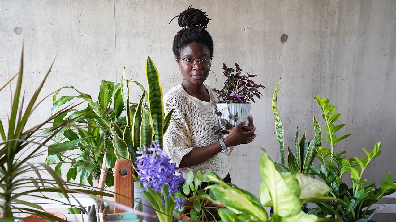 House plant tour 2020 // I need your help identifying a few plants