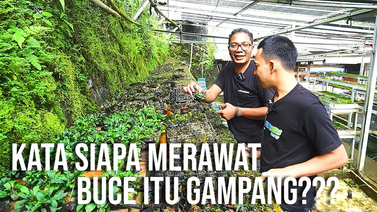 [SCAPERJOURNEY] MAIN KETEMPAT MASTERNYA BUCE DI SUBANG!!!