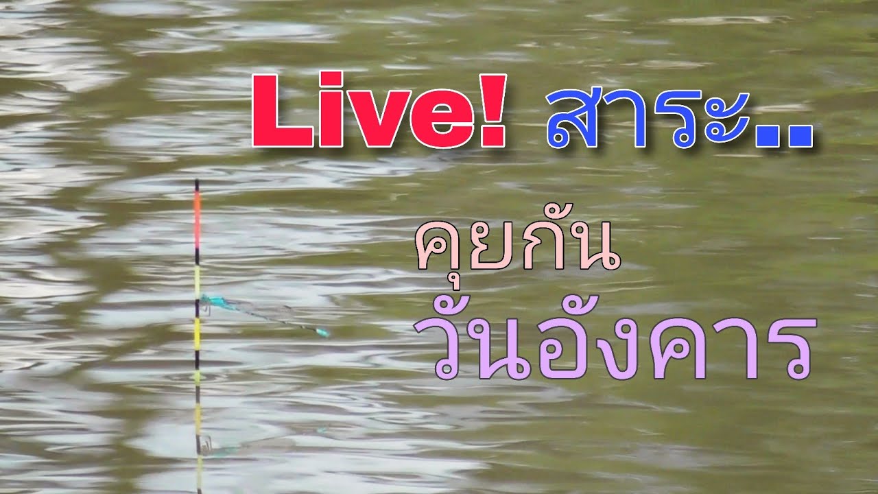 Live! สาระ.. คุยกัน วันอังคาร 4 พฤศจิกายน (ทุ่นหลิว)