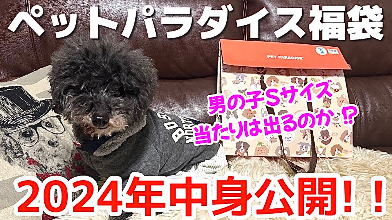 【ペットパラダイス 福袋】２０２４年ペットパラダイス福袋男の子Sサイズ開封！！ミッキー編 ＃中身公開 ＃シニア犬