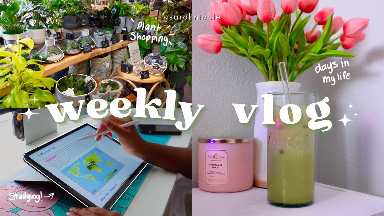 productive vlog🐰| waking up at 6AM, cute cafe, studying, plant shopping, learning to be alone