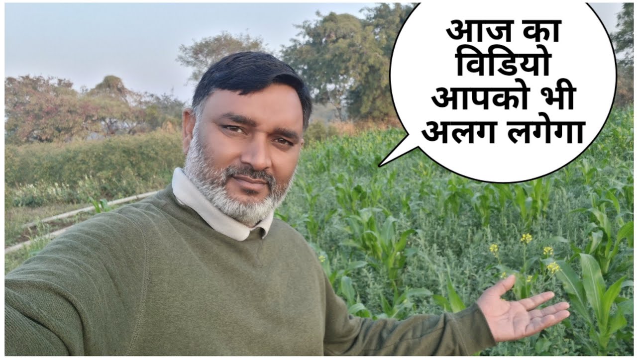 मकर संक्राती का दिन बहुत ही शानदार बिता || सिंपल मार्ग सेवाश्रम || Simple Marg