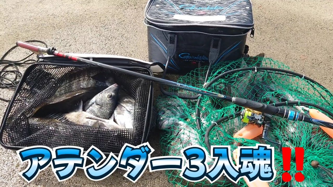 新たな相棒‼️アテンダー3で寒チヌ爆釣‼️