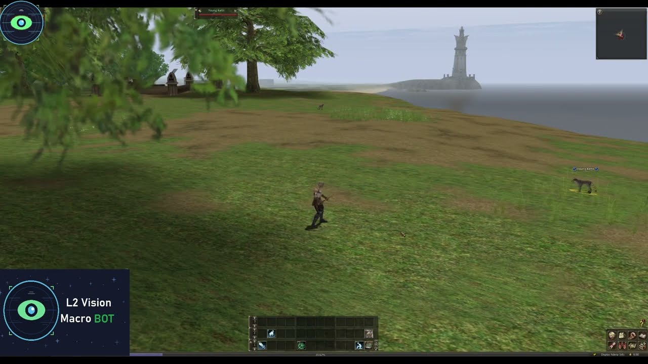 L2 Vision - Auto Macro Loop for Lineage 2 ( Tested on L2Reborn.Org )
