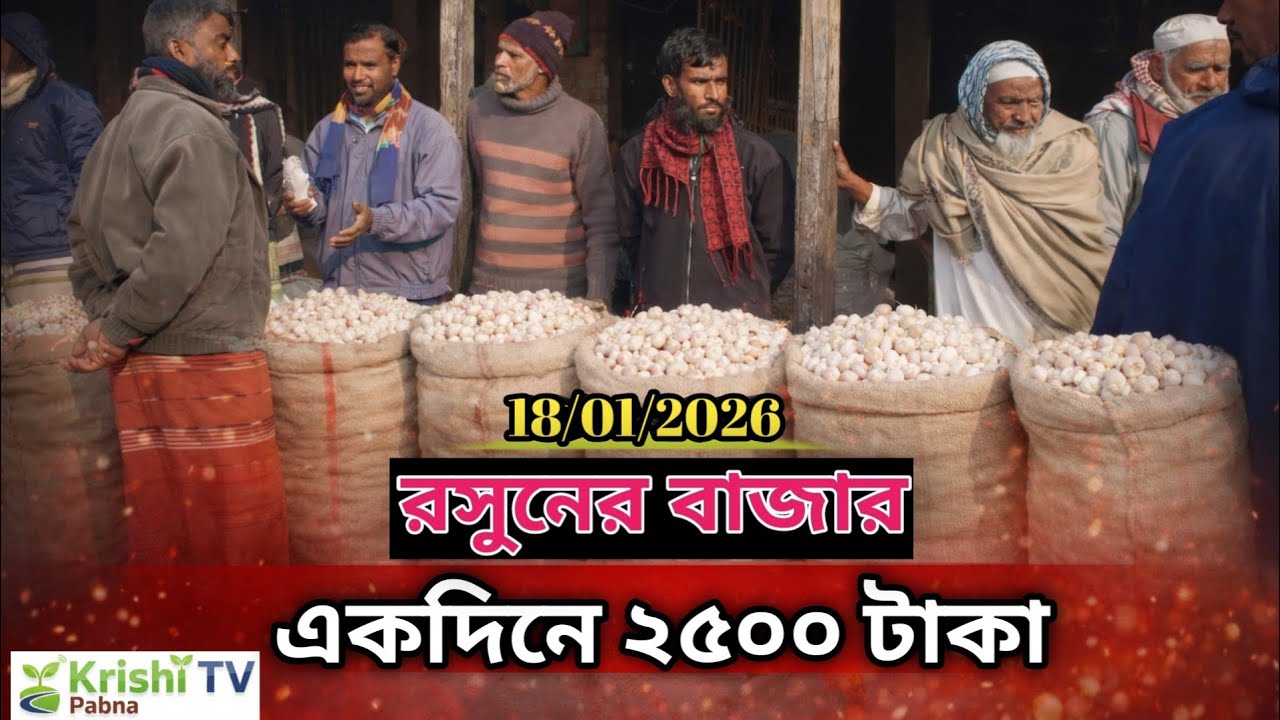 রসুনের বাজার একদিনে ২০০০ থেকে সর্বোচ্চ ২৫০০ টাকা / আমদানি কম দাম একটু বেশি /১৮/১/২০২৬/ রোজ রবিবার 