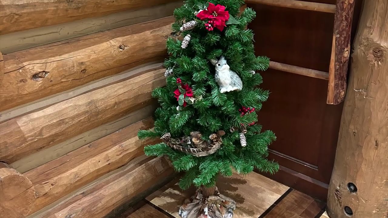 Holiday Trees in 4K Disney WDW parks and resorts, Disney Springs, Castaway Cay, and Fantasy