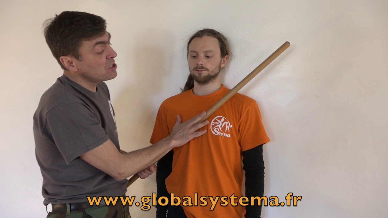 Systema Komarov - Développer la mobilité