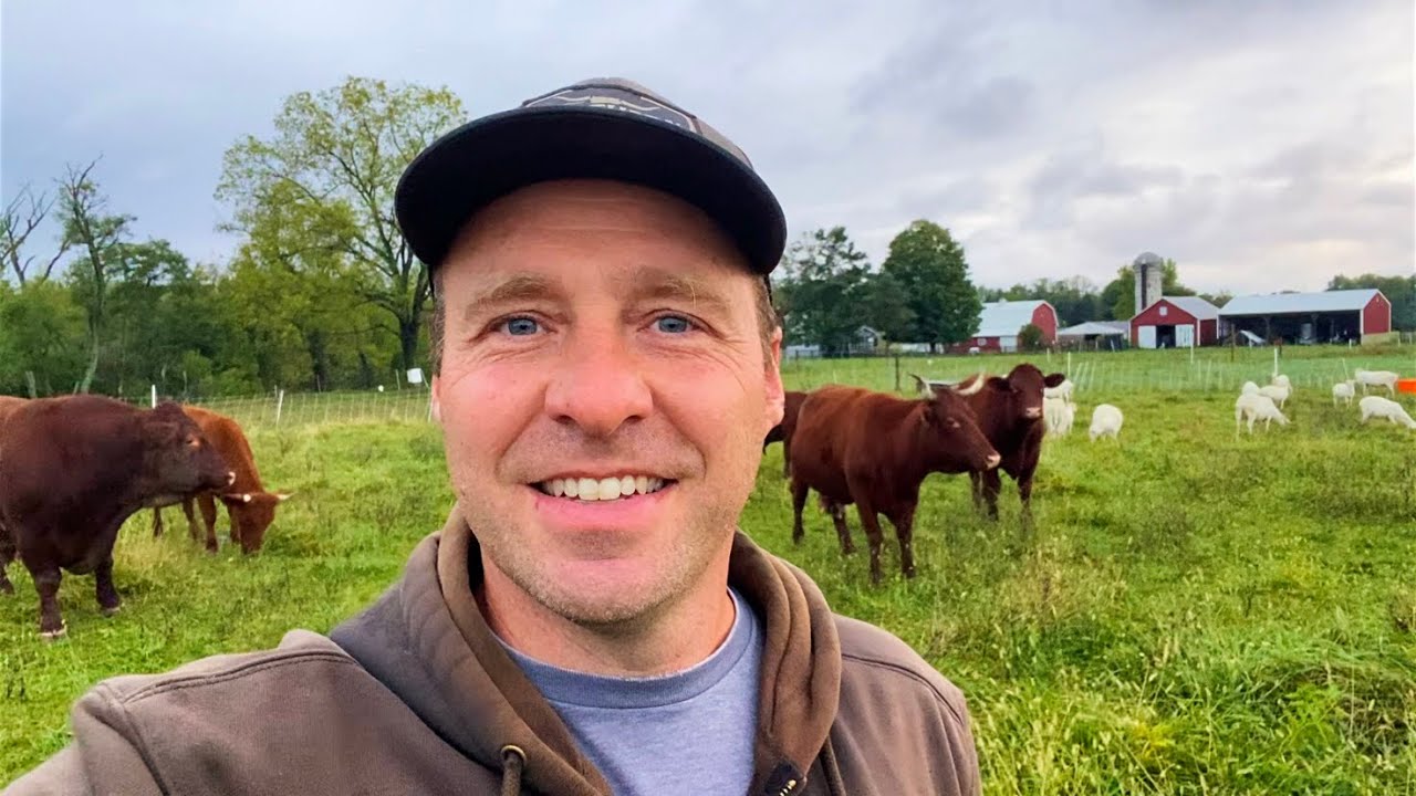 Multi-Species Rotational Grazing | Sowing Over-Wintering Cover Crops for Early St Croix Ewe Grazing