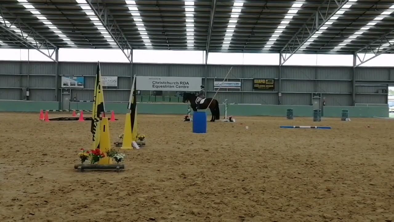 Working Equitation - Novice Ease of Handling