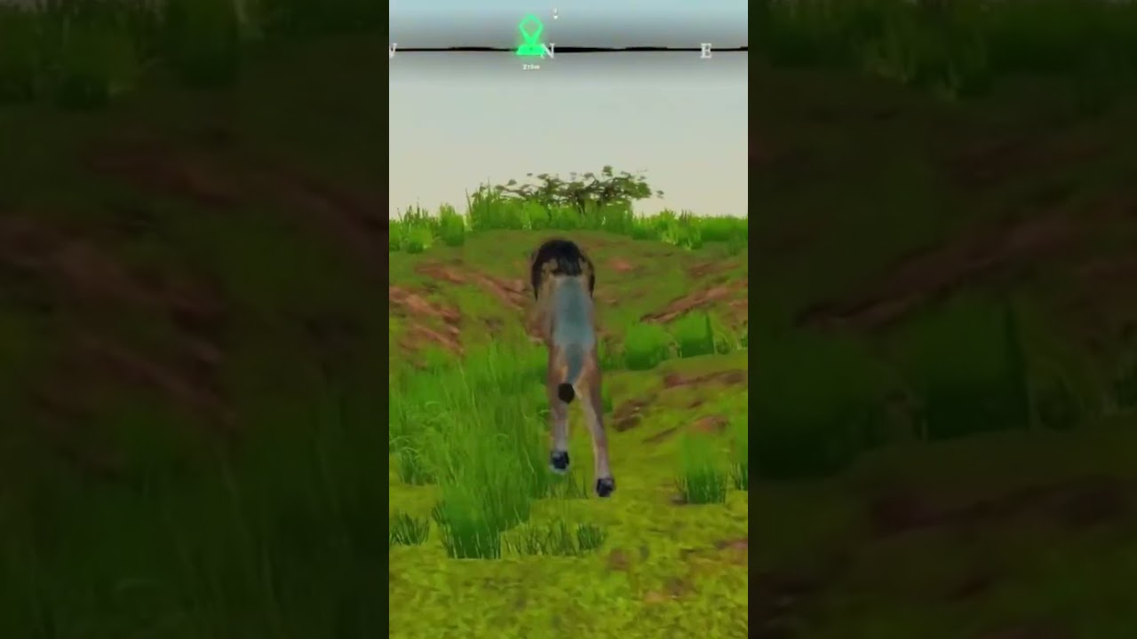#gaming #cat #funny #lion #pixelperfection #nintendogame #foryou #pixelperfect