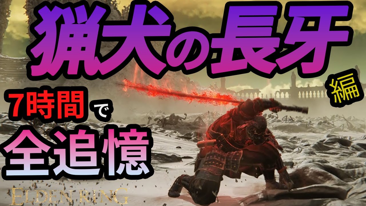 よく使われる面白みの無い武器です見ないでください。　【猟犬の長牙】【全追憶】　#エルデンリング #ELDENRING