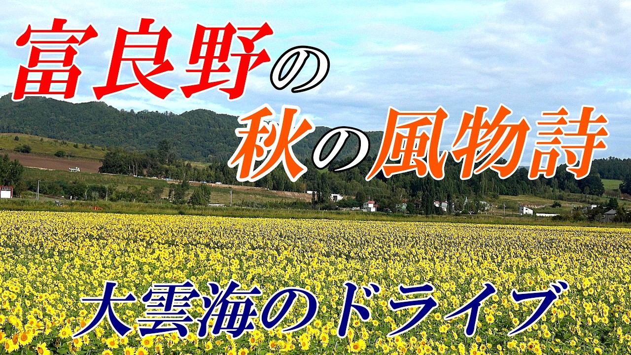 【北海道 富良野】幻想的な「大雲海」のドライブ映像　４Ｋ