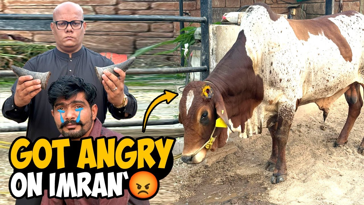 Imran ne Bull ke Seeng Katwa Diye 😡🐂– Got Angry on Imran 😤 | BT Farm Stories