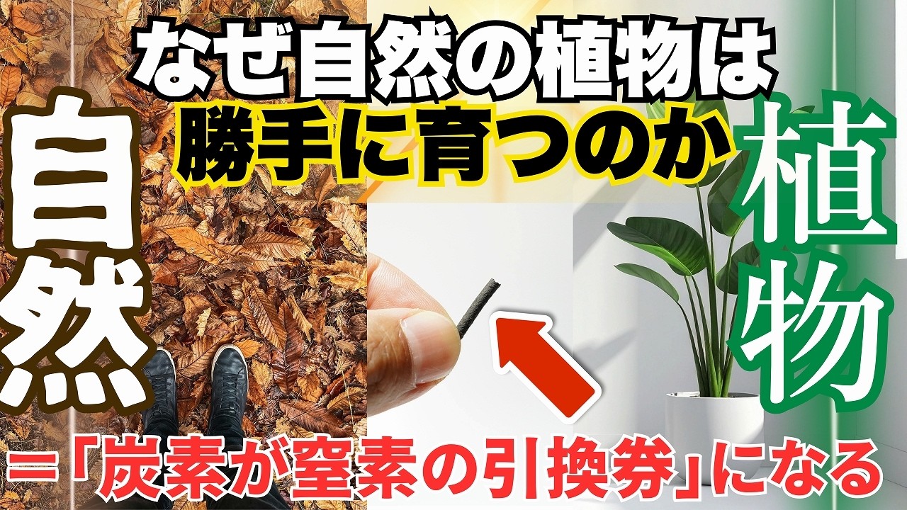 【新視点】自然と同じ仕組みで植物を育てる方法と「テラベイト」に含まれる原料の特性について丁寧に解説します！胞子培養に使えるテクニックも公開。