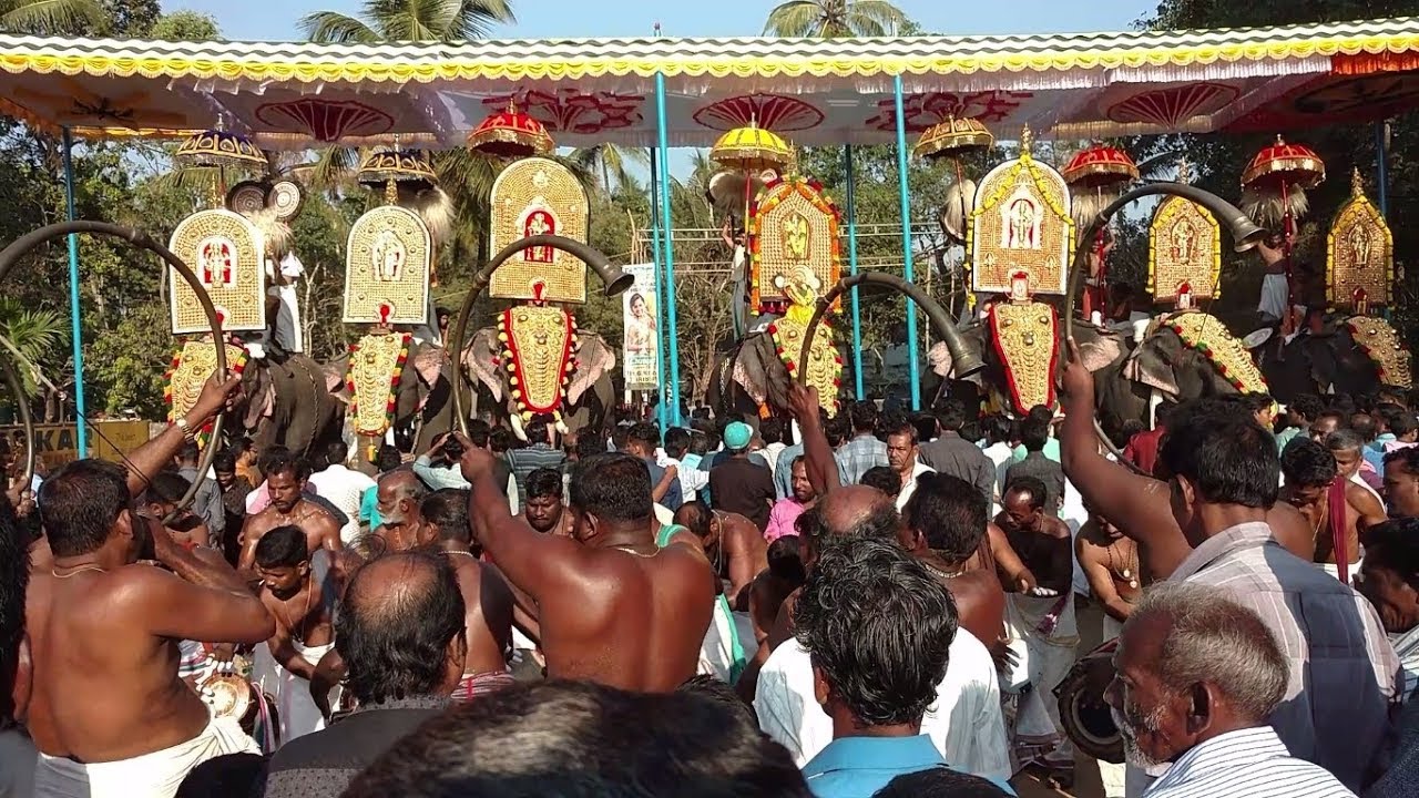 AANA POORAM - SEEVELI - CHENTHRAPPINNI POOYAM 2018 HD