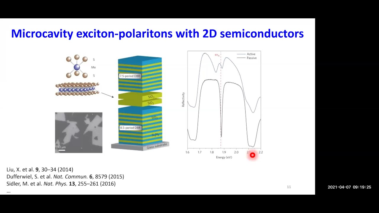 Exciton-polaritons in two-dimensional transition metal dichalcogenides | Chitraleema Chakraborty