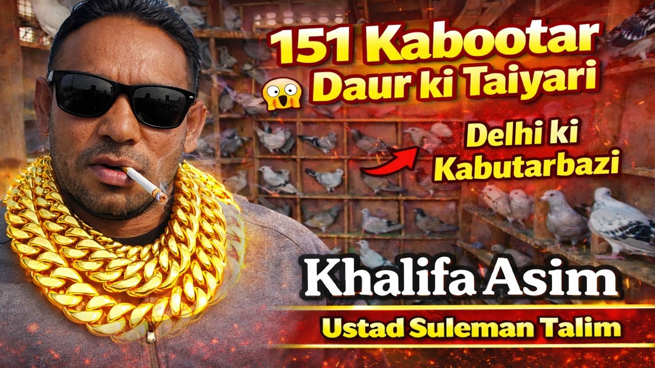 151 Kabutar Ki Pigeon Race ki Taiyari, Khalifa Asim, Ustad Suleman Talim