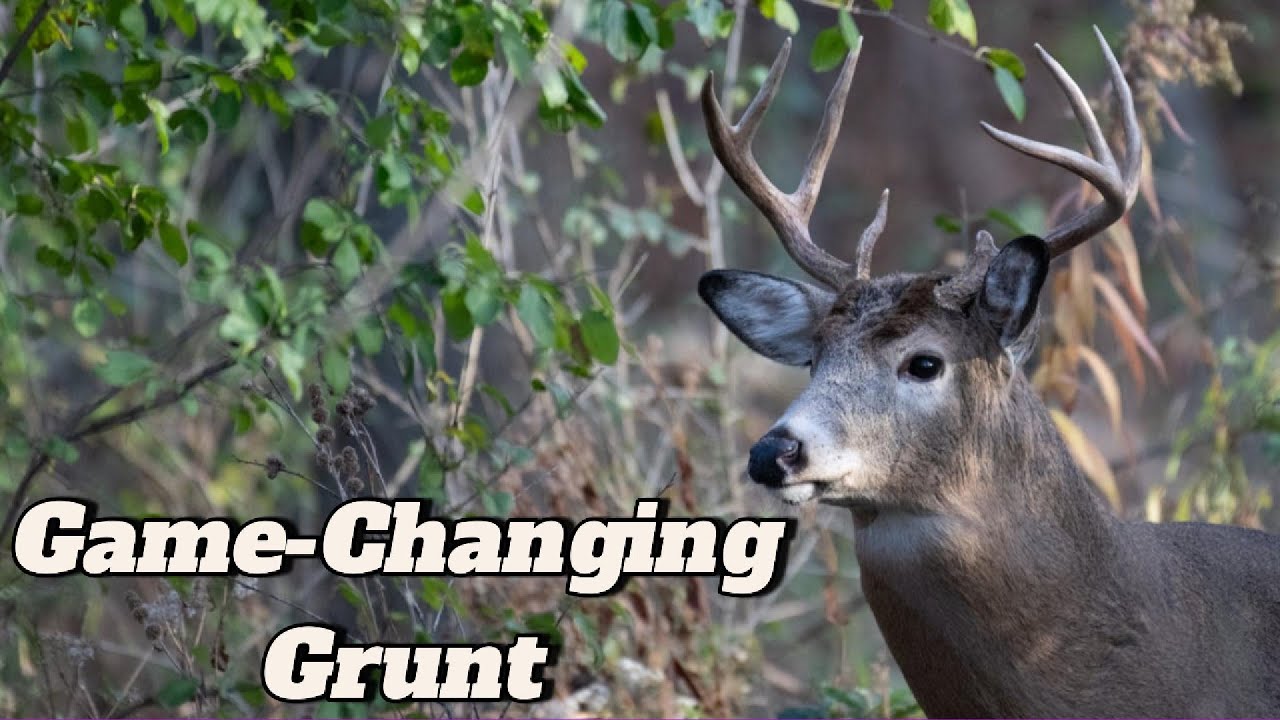 The Game Changing Grunt