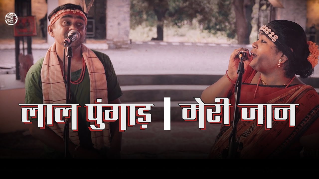 Laal Pungaad | Meri Jaan | Daira&rsquo;s Jaadoo Bastar | Official Music Video