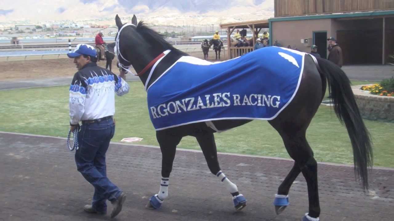 EL QUEMA TIERRAS - OSCAR SOLIS