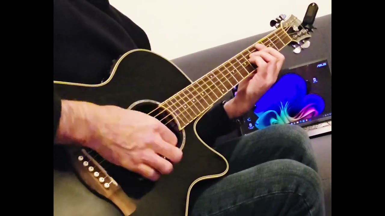 Frances Farmer Have Her Revenge On Seattle - Nirvana - (acoustic guitar cover)
