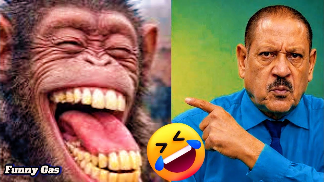 Best of Funny fails (Ep13) 🤣 Funniest Videos Ever In The World | Try Not To Laugh