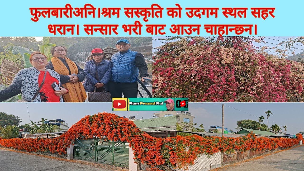 फुलबारीअनि।श्रम सस्कृति को उदगम स्थल सहर धरान। सन्सार भरी बाट आउन चाहान्छ्न।