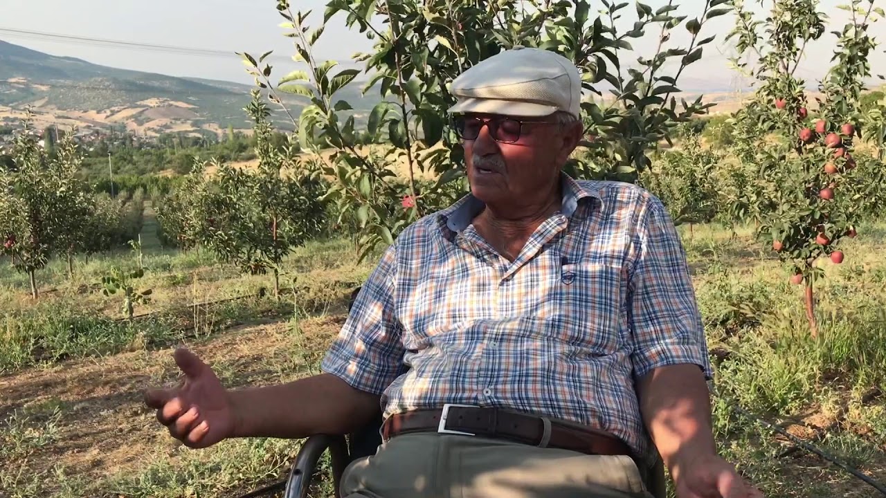 Çardak - Alaattin Toka